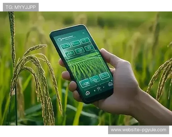 PG娱乐app下载官网优化界面设计，提升用户操作体验实现更便捷的娱乐享受