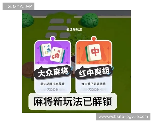 pg麻将官网提供多种玩法选择，满足不同玩家的娱乐需求