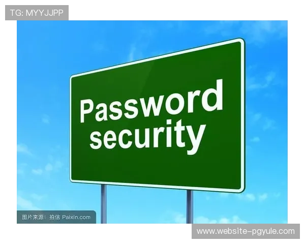 PG官方网站入口安全登录攻略,保障你的账号信息安全与顺畅游戏体验